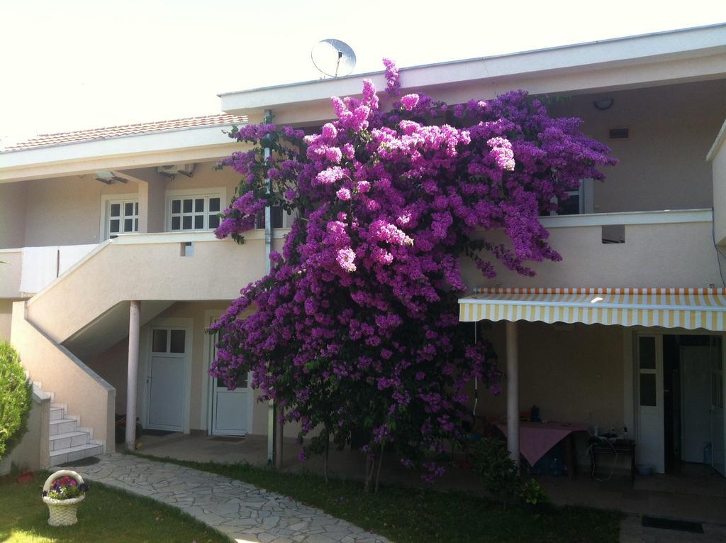 Apartments Ada Bojana Ulcinj Habitación foto